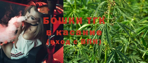 прущие крисы Арсеньев