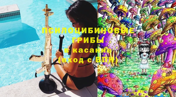 не бодяженный Аркадак