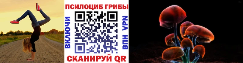 мориарти формула  Луза  Псилоцибиновые грибы мухоморы  магазин  наркотиков 